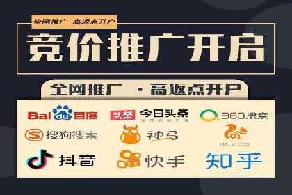 行业领先SEM服务公司案例研究